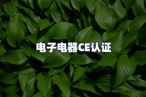 电子电器CE认证